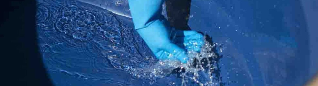 Importancia da Limpeza da Caixa d'água  24 HORAS